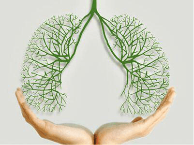 用空气负离子精心呵护我们的肺