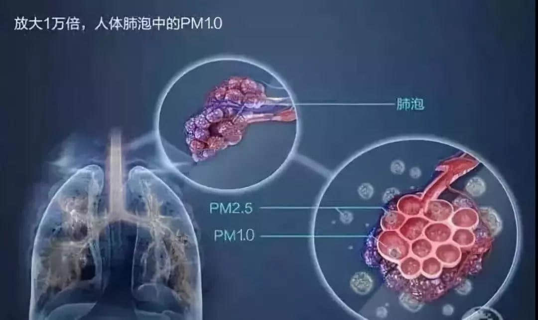 在空气污染严重的今天，健康生活还需要空气负离子助力