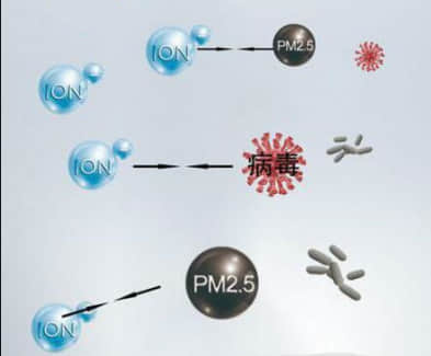 负离子的作用与功效之空气净化