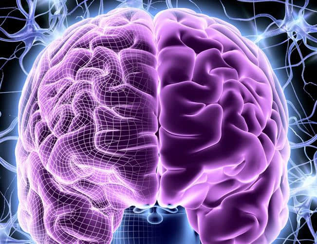 负氧离子能使人的大脑皮层抑制过程加强和调整大脑皮层的功能
